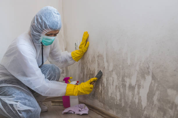 Best Mold Testing  in Sunflower, MS