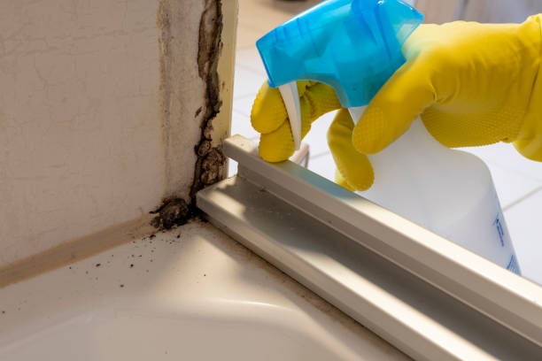 Best Professional Mold Removal  in Sunflower, MS